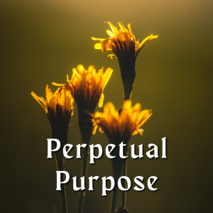 Perpetual Purpose