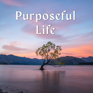 Purposeful Life